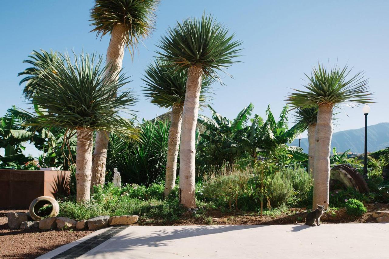 Finca El Patio Лос Реалехос Екстериор снимка