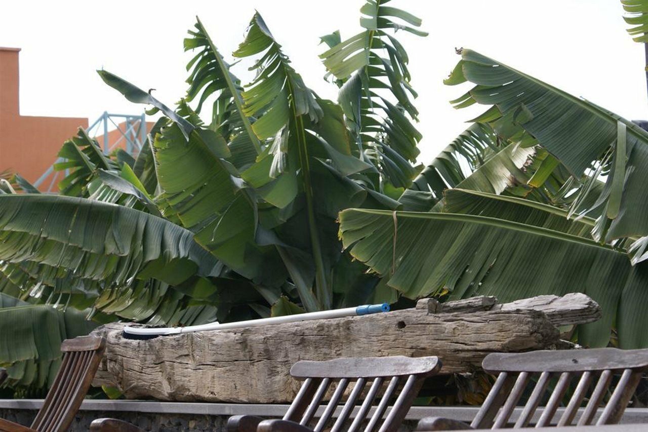 Finca El Patio Лос Реалехос Екстериор снимка